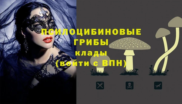 гидропоника Вяземский