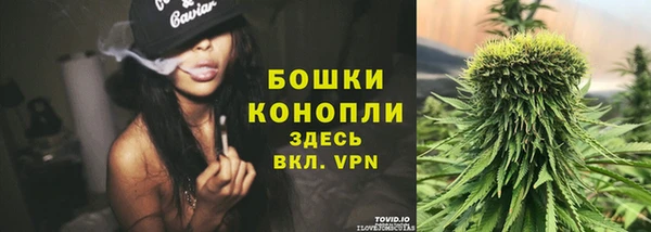 гидропоника Вяземский