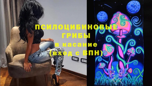 гидропоника Вяземский