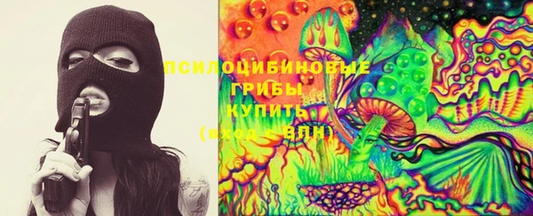 гидропоника Вяземский