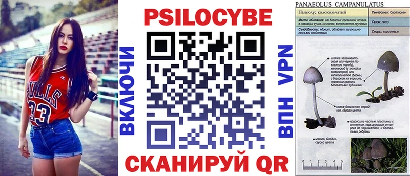 Галлюциногенные грибы мухоморы  Купить  Опочка 